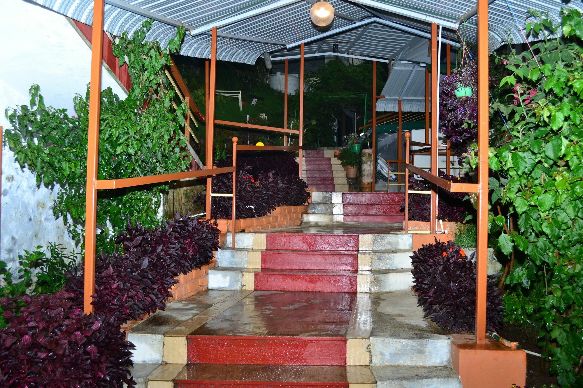 Kodai Sunshine Resort Kodaikanal Eksteriør billede